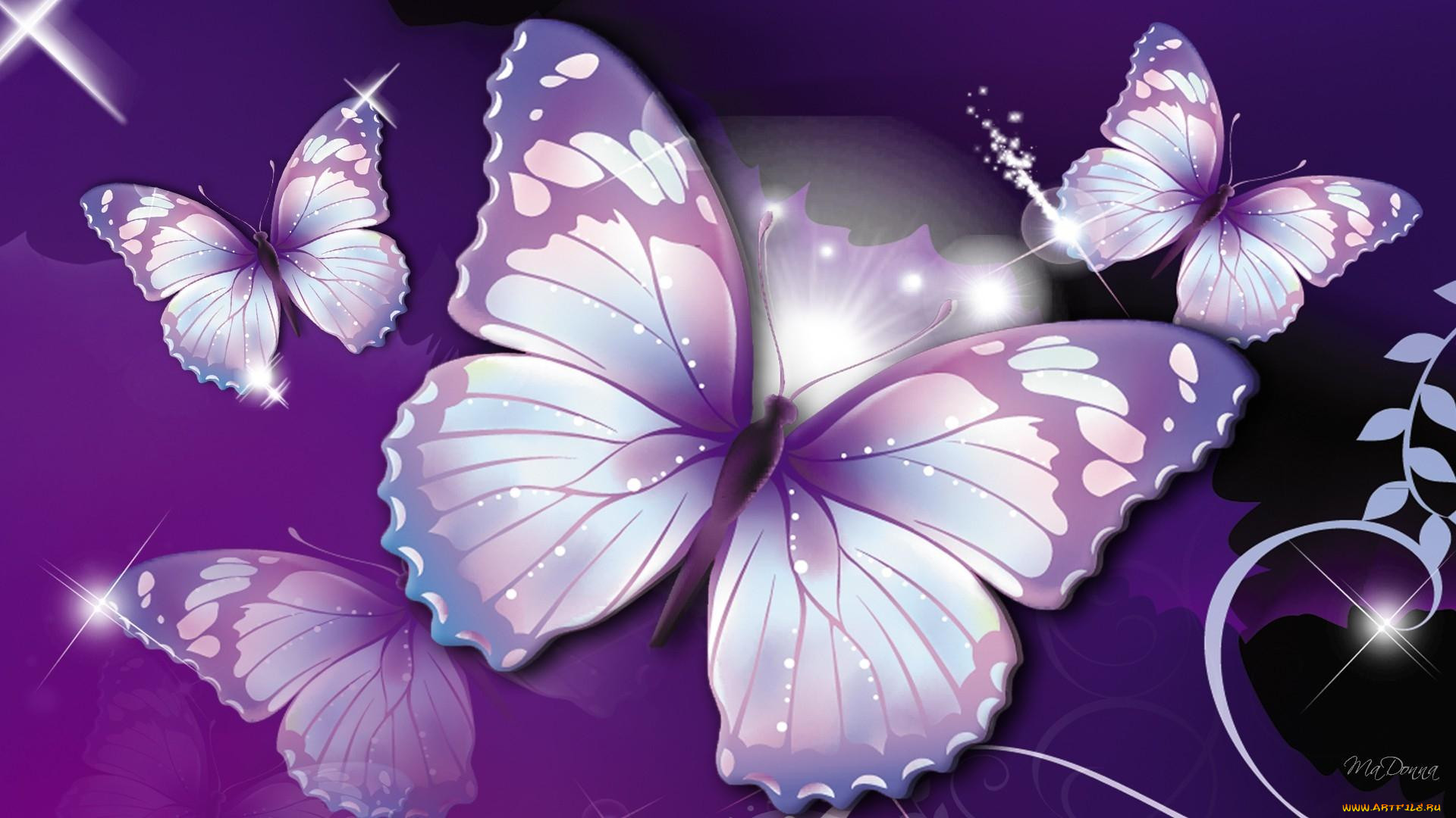 Красивые картины на телефон. Бабочки картинки красивые. Фон бабочки. Красивый фон с бабочками. Фотообои бабочки.